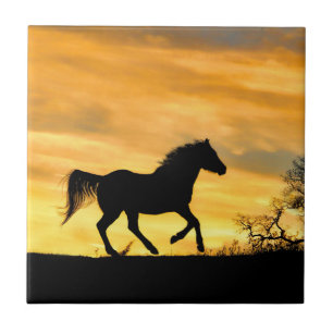 Goldener Sonnenaufgang Reiten Kunst, Dichtung und  Fliese