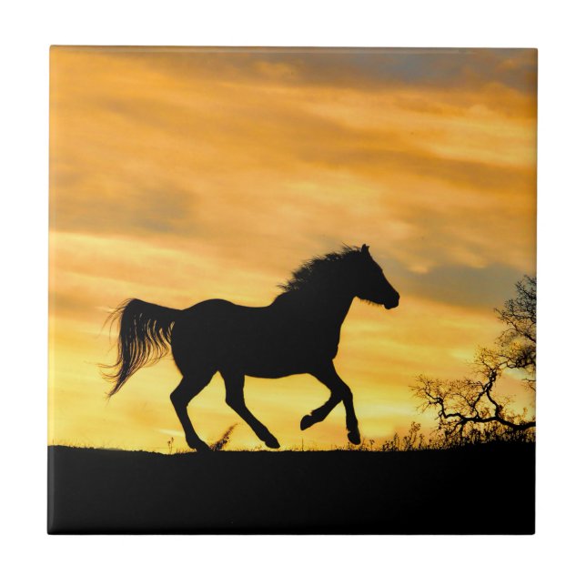 Goldener Sonnenaufgang Reiten Kunst, Dichtung und  Fliese (Vorderseite)