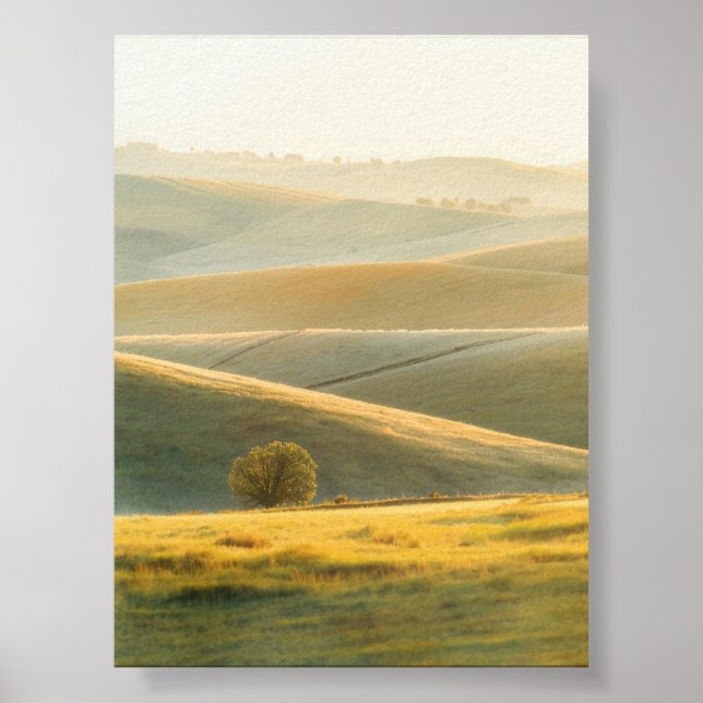 Goldener Sonnenaufgang über Rolling Hills Poster (Vorne)