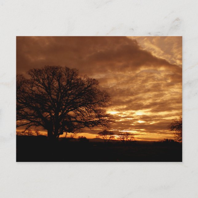 Goldener Sonnenuntergang Kalifornien Postkarte (Vorderseite)