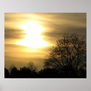 Goldener Sonnenuntergang mit silberfarbenen Bäumen Poster