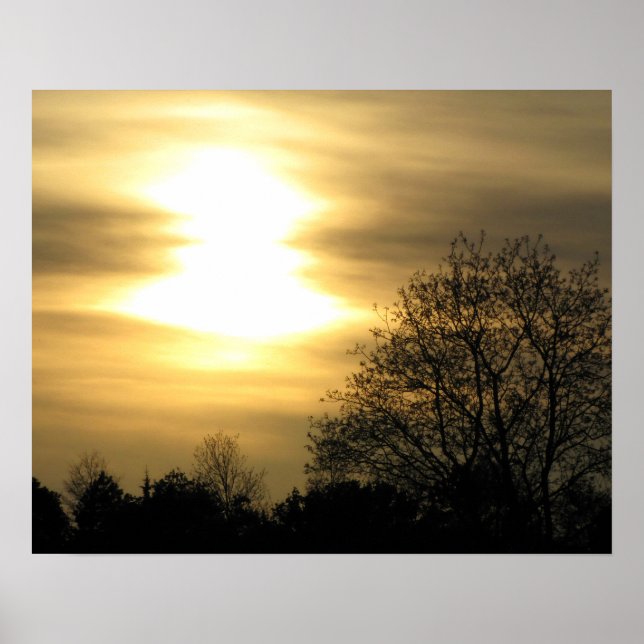 Goldener Sonnenuntergang mit silberfarbenen Bäumen Poster (Vorne)