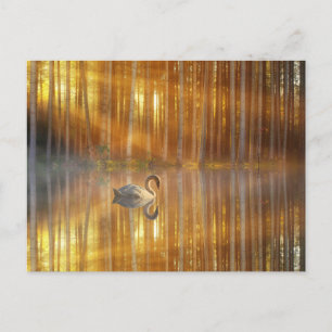 Goldener Sonnenuntergang Postkarte
