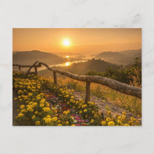 Goldener Sonnenuntergang über blühenden Hügeln  Postkarte