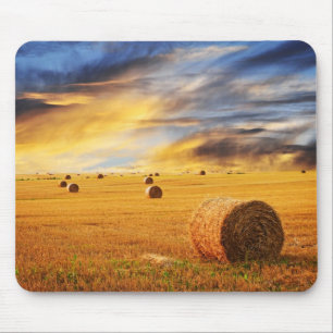 Goldener Sonnenuntergang über dem Feld Mousepad