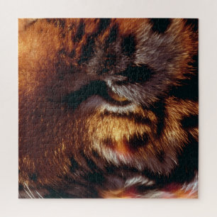 Goldener Tigerauge Nahaufnahme Wildlife Puzzle