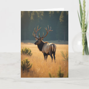 Goldener Vatertag Junggesellenkarte Karte