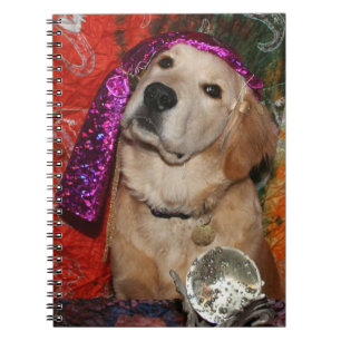 Goldener Wahrsager Notizblock