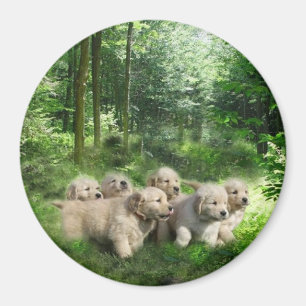 Goldener Welpen-Magnet Magnet