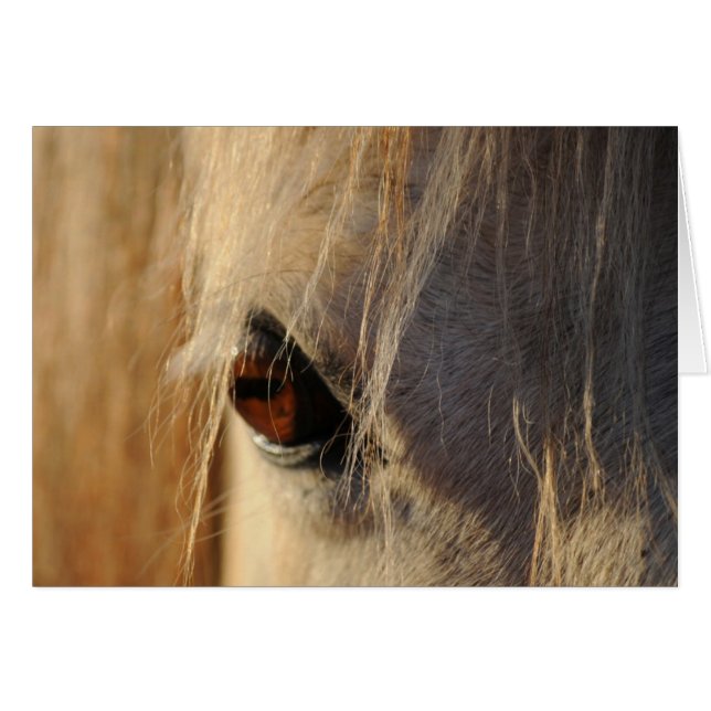 Goldenes Auge (Vorderseite (Horizontal))