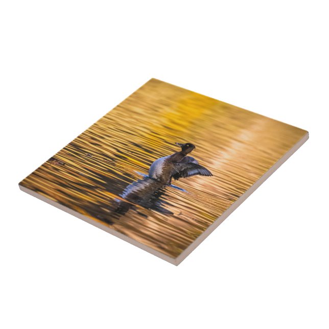 Goldenes Auge auf einem goldenen See Fliese (Seite)