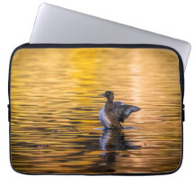 Goldenes Auge auf einem goldenen See