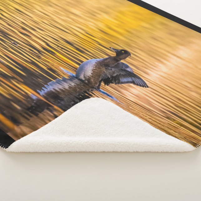 Goldenes Auge auf einem goldenen See Sherpadecke (3/4)