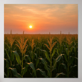 Goldenes Cornfield Sonnenuntergang Hintergrund Poster