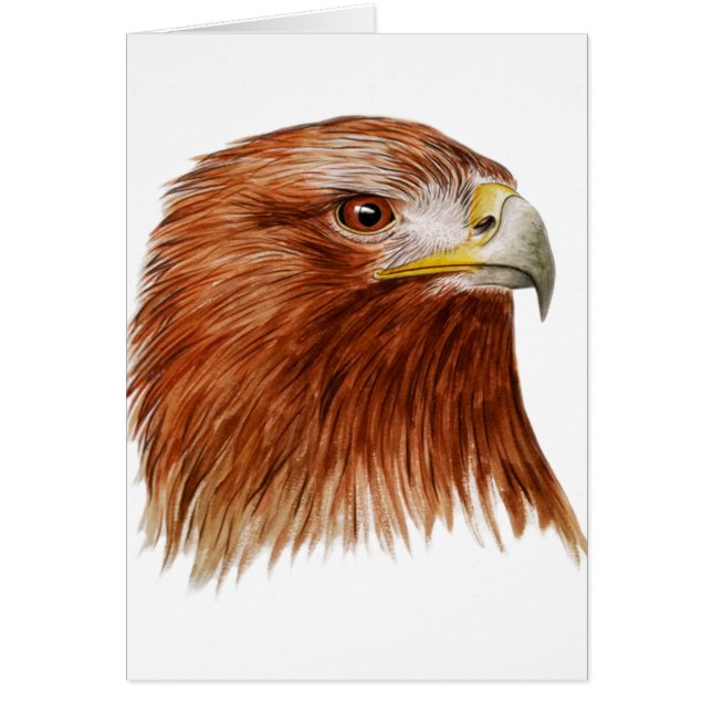 Goldenes Eagle 2011 (Vorne)