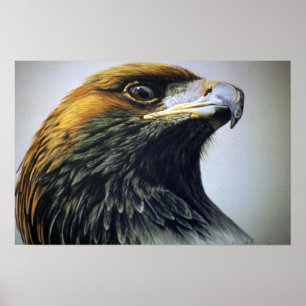 Goldenes Eagle Poster