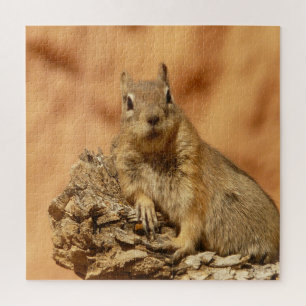 Goldenes Eichhörnchen Puzzle