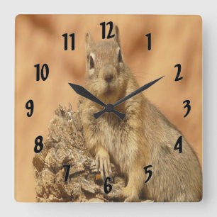 Goldenes Eichhörnchen Quadratische Wanduhr