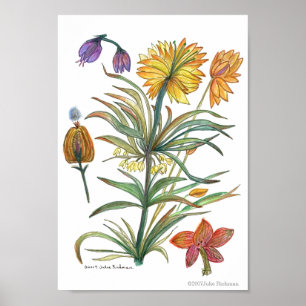 Goldenes gelbes Blumen 52 Plakat-EIn Poster