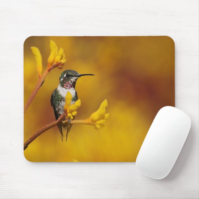 Goldenes Glühen Mousepad (Mit Mouse)
