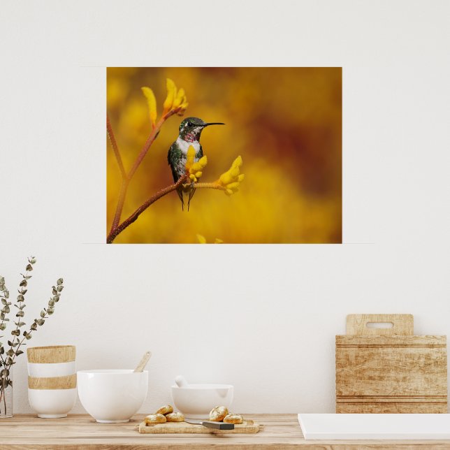 Goldenes Glühen Poster (Küche)