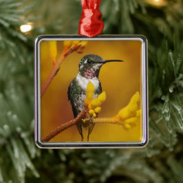 Goldenes Glühen Silbernes Ornament