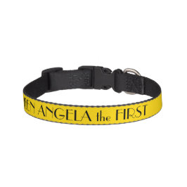 Goldenes Hundehalsband Personalisiert Haustierhalsband