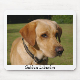 Goldenes Labrador Mousepad