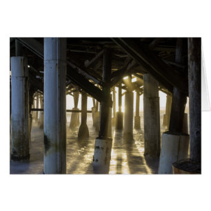 Goldenes Licht durch