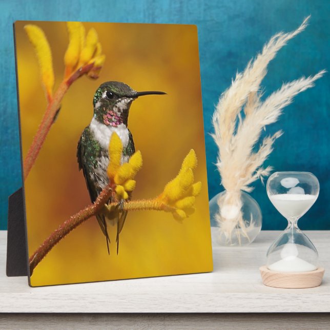 Goldenes Licht Fotoplatte (Seite)