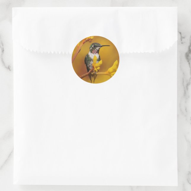 Goldenes Licht Runder Aufkleber (Tasche)
