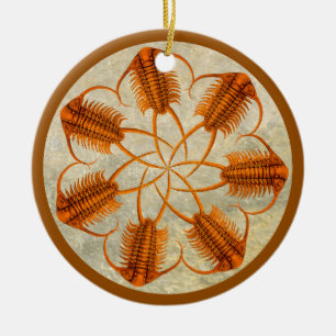 Goldenes Paraceraurus versteinertes trilobite Rad Keramik Ornament