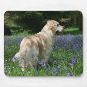 Goldenes Retreiver in den Blumen Mousepad