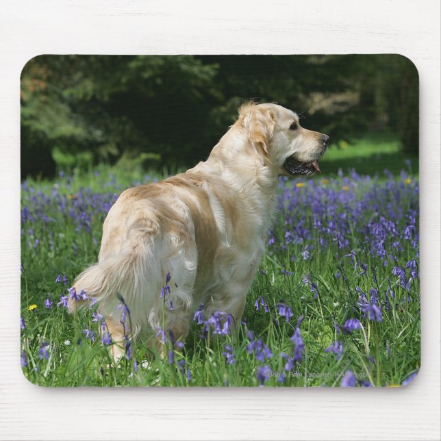 Goldenes Retreiver in den Blumen Mousepad (Vorne)