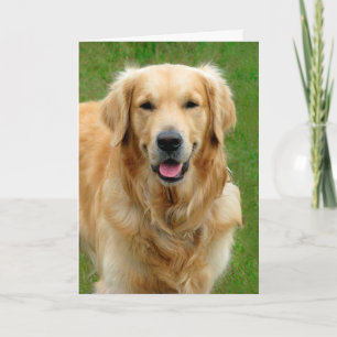 Goldenes Retriever-Beileid Karte