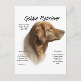 Goldenes Retriever Historisches Design Postkarte