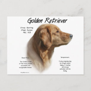 Goldenes Retriever Historisches Design Postkarte