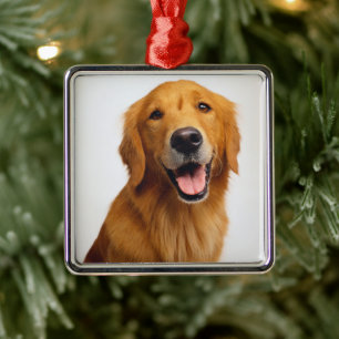 Goldenes Retriever-Lächeln Ornament Aus Metall