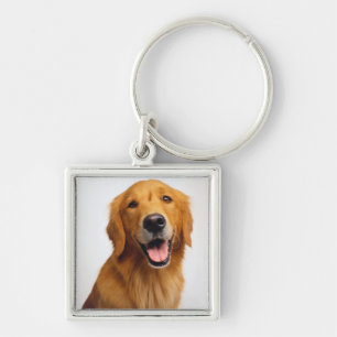 Goldenes Retriever-Lächeln Schlüsselanhänger