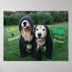 Goldenes Retriever Leben ist großartig Poster
