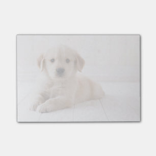 Goldenes Retriever-Leck Post-it Klebezettel