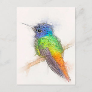 Goldenes Sapphire Hummingbird Portrait Postkarte