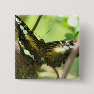 Goldenes Schmetterlings-Quadrat-Button Button