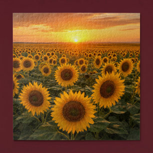 Goldenes Sonnenblumenfeld bei Sonnenuntergang Puzzle