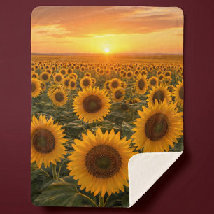 Goldenes Sonnenblumenfeld bei Sonnenuntergang Sherpadecke