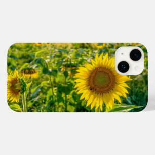 Goldenes Sonnenblumenfeld Case-Mate iPhone 14 Hülle