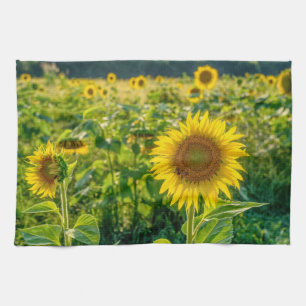 Goldenes Sonnenblumenfeld Geschirrtuch