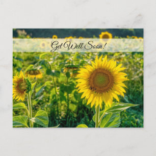 Goldenes Sonnenblumenfeld Gute Besserung Postkarte