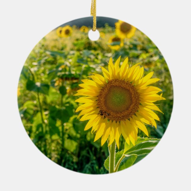 Goldenes Sonnenblumenfeld Keramik Ornament (Hinten)