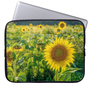 Goldenes Sonnenblumenfeld Laptopschutzhülle